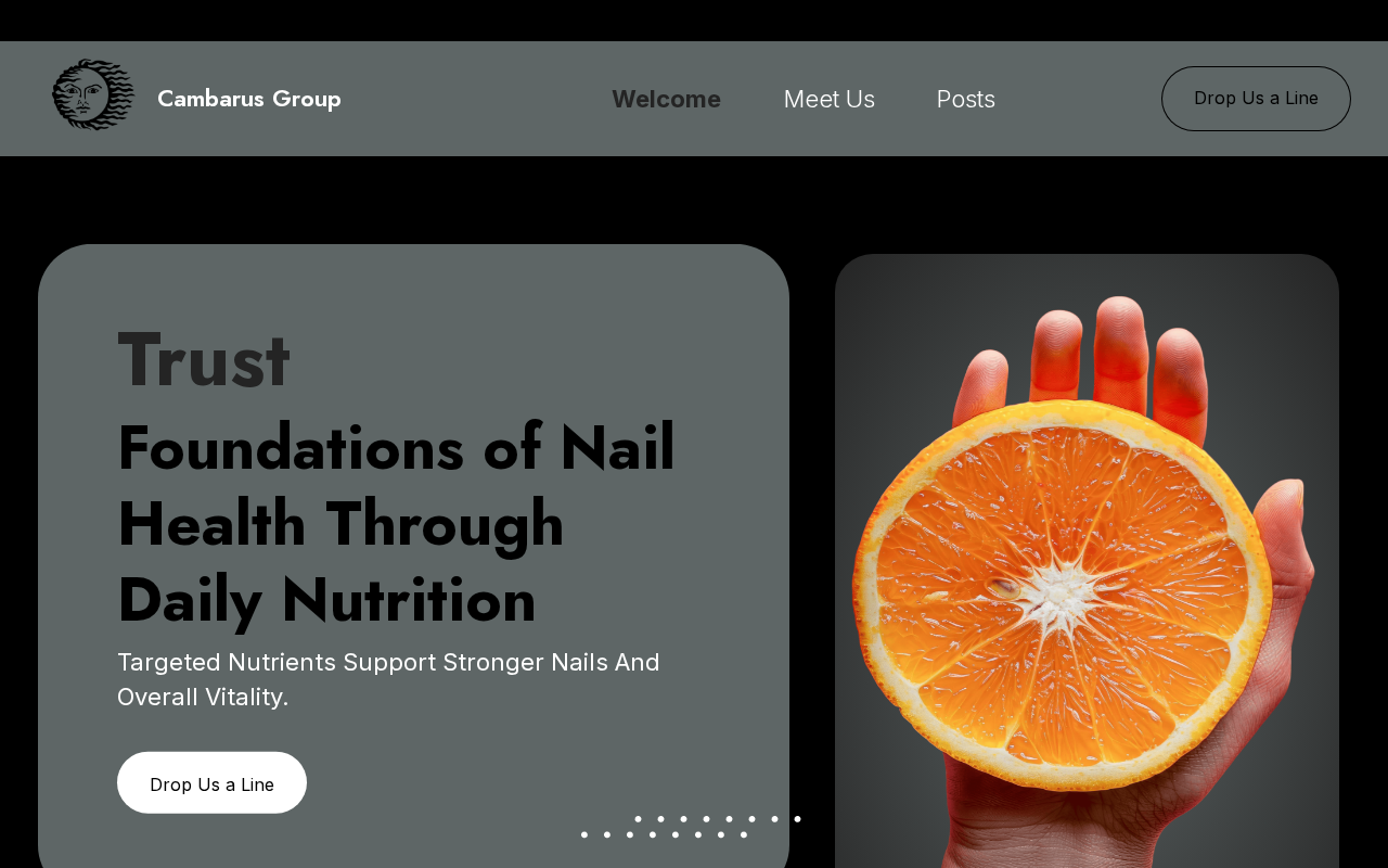 Screenshot of cambarusgroup.com