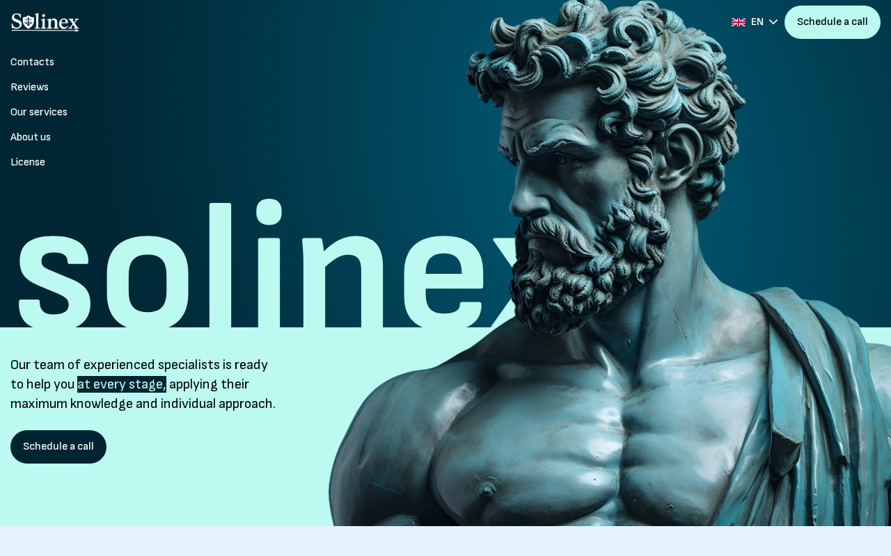 Screenshot of solinex.group