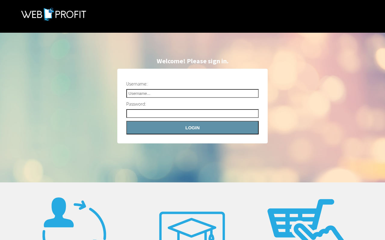 Screenshot of webprofit.website